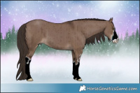 Horse Color:White Spotted Liver Red Dun Brindle 