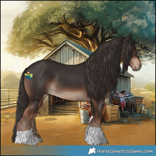 Horse Color:Liver Chestnut Tobiano Rabicano 