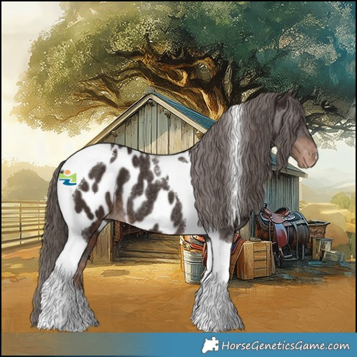 Horse Color:Liver Chestnut Tobiano Appaloosa Rabicano 