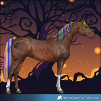 Horse Color:Painted Silver Brown Tobiano Rabicano 