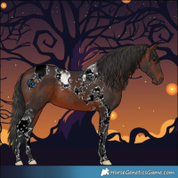 Horse Color:Brown Tobiano 