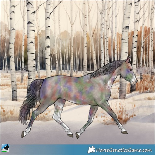 Horse Color:Nacre Brown Dun Sabino Rabicano 