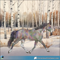 Horse Color:Nacre Brown Dun Sabino Rabicano 