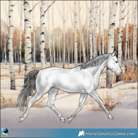 Horse Color:Buckskin Sabino Rabicano 