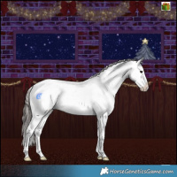 Horse Color:Buckskin Sabino Rabicano 