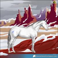 Horse Color:Smoky Black Sabino Rabicano