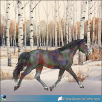 Horse Color:Nacre Brown Sabino Rabicano
