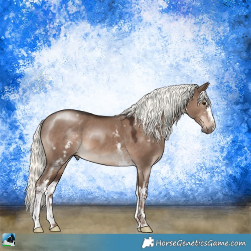 Horse Color:White Spotted Liver Red Dun Mushroom 