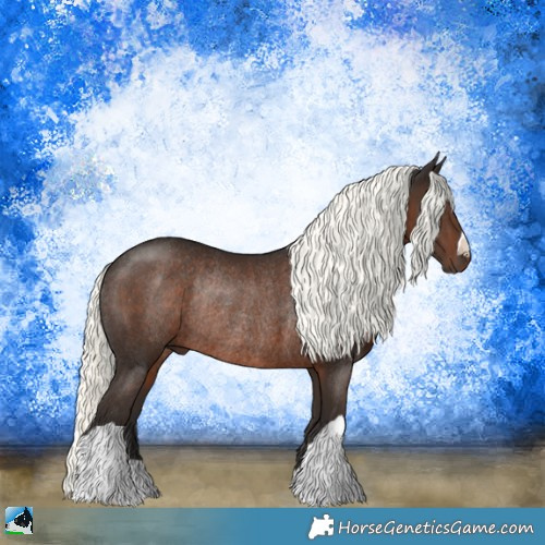 Horse Color:Liver Chestnut Mushroom Rabicano 