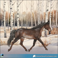 Horse Color:Liver Chestnut Mushroom Rabicano