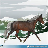 Horse Color:Liver Chestnut Mushroom Rabicano 