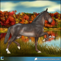 Horse Color:Liver Chestnut Mushroom Rabicano