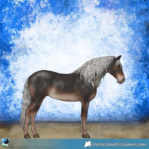 Horse Color:Liver Chestnut Mushroom Sabino 