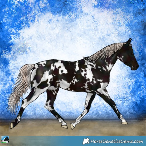 Horse Color:White Spotted Midnight Liver Chestnut Mushroom 