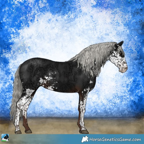 Horse Color:Liver Chestnut Ice Mushroom Sabino 
