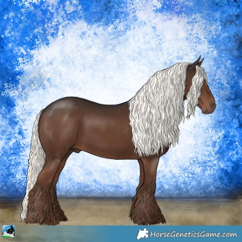 Horse Color:Liver Chestnut Mushroom Rabicano 