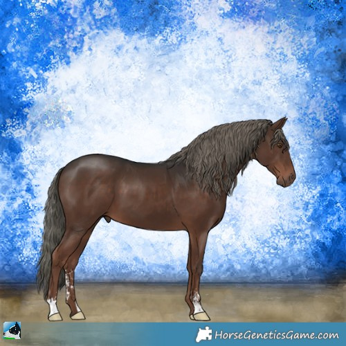 Horse Color:Liver Chestnut Mushroom Sabino 