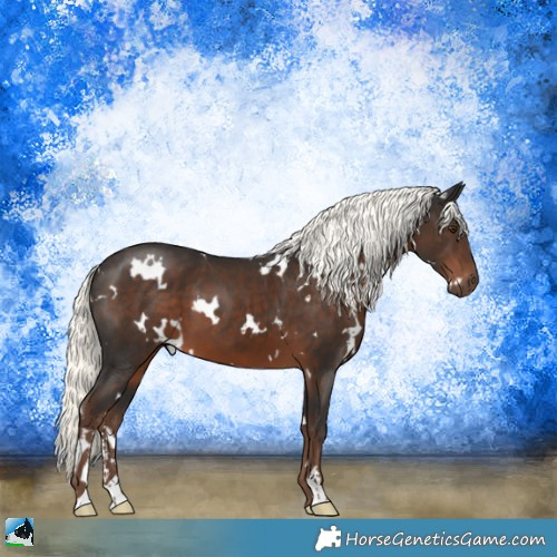 Horse Color:White Spotted Liver Chestnut Mushroom Sabino 