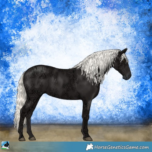 Horse Color:Liver Chestnut Ice Mushroom Rabicano 