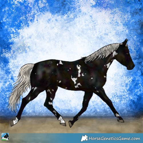 Horse Color:White Spotted Midnight Liver Chestnut Ice Mushroom 