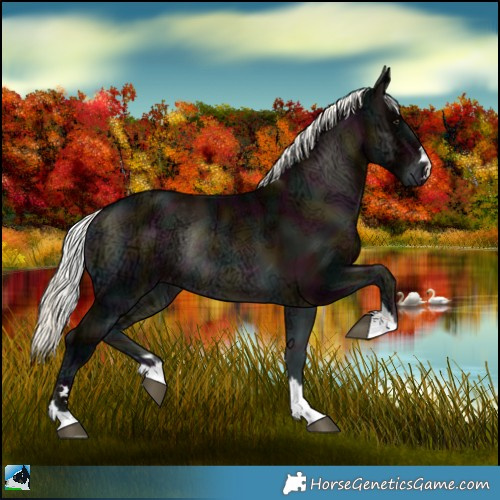 Horse Color:Midnight Liver Red Onyx Ice Mushroom Rabicano 
