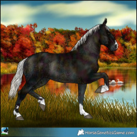 Horse Color:Midnight Liver Red Onyx Ice Mushroom Rabicano 