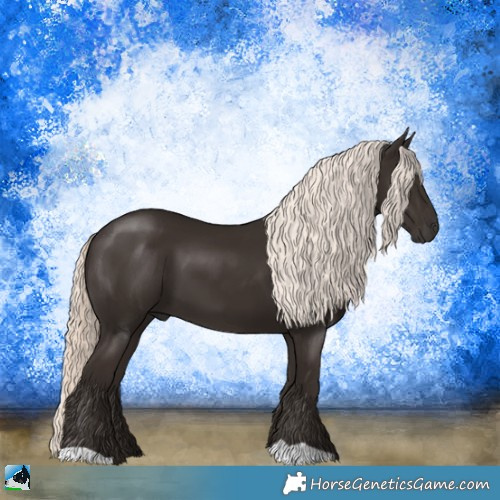 Horse Color:Liver Chestnut Mushroom 