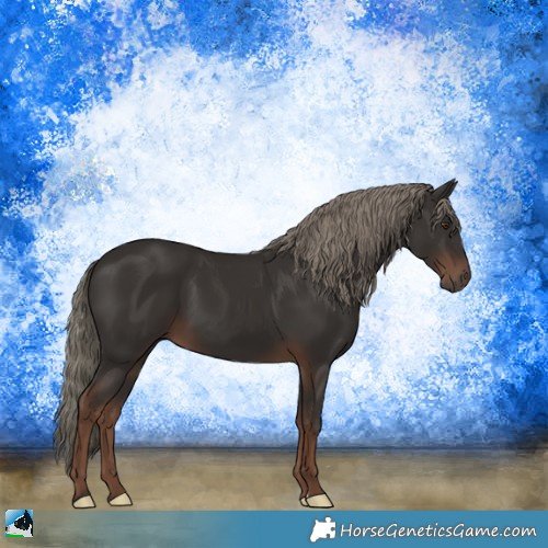 Horse Color:Liver Chestnut Mushroom 