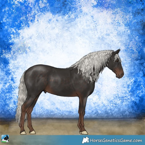 Horse Color:Liver Chestnut Mushroom Sabino 