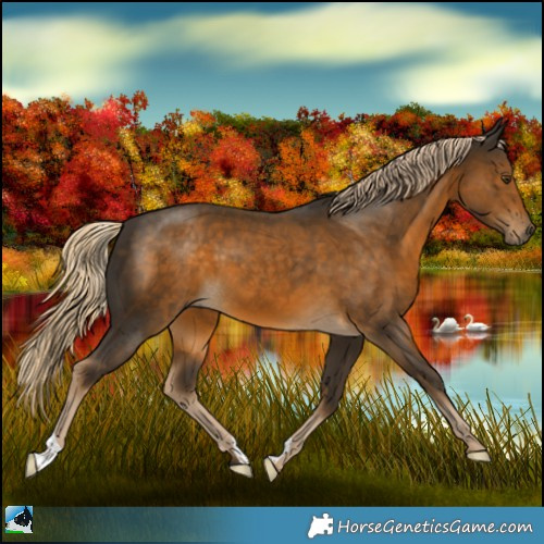 Horse Color:Chocolate Palomino Mushroom 