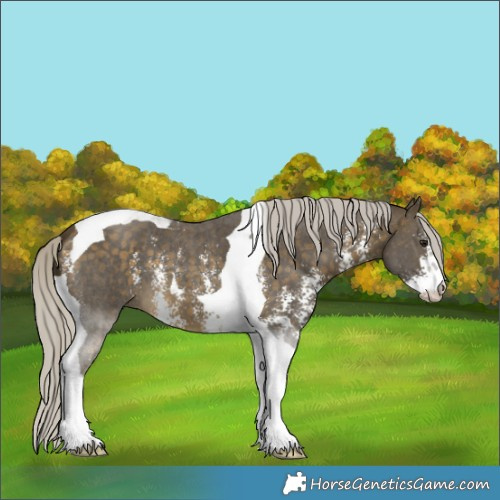 Horse Color:Silver Buckskin Sabino Tobiano 