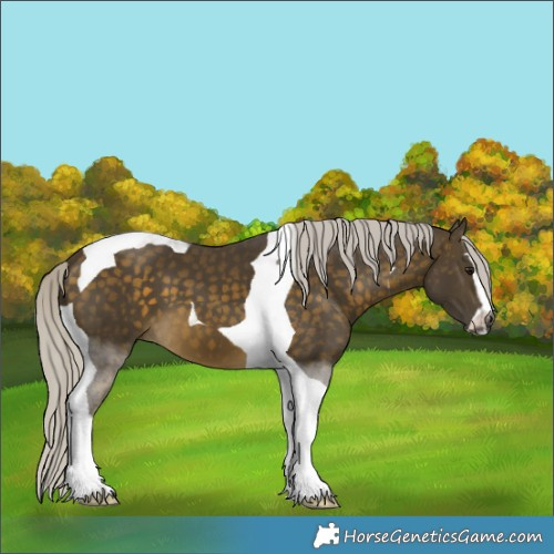 Horse Color:Silver Buckskin Sabino Tobiano 