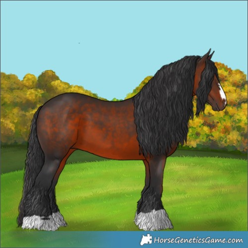 Horse Color:Brown 