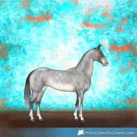 Horse Color:Brown Roan Sabino Rabicano