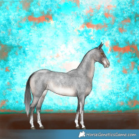 Horse Color:Brown Roan Sabino Rabicano 