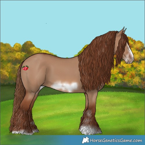Horse Color:Red Dun Frame 