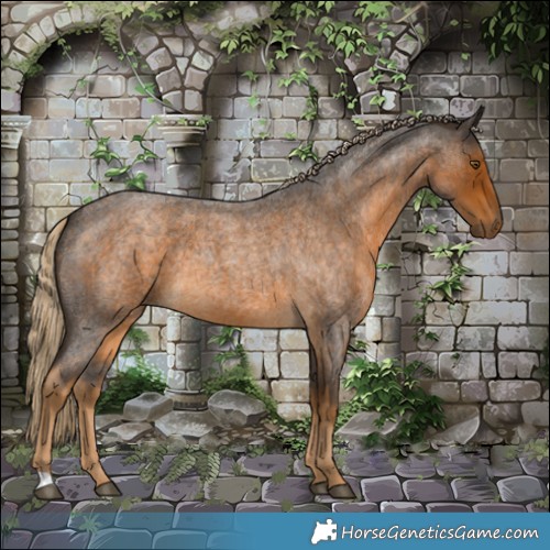 Horse Color:Chocolate Palomino Roan 