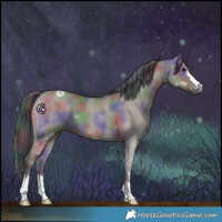 Horse Color:Nacre Grullo