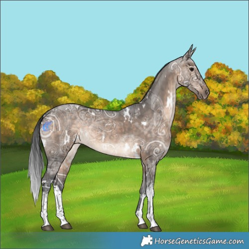 Horse Color:White Spotted Brown Ice Dun Rabicano