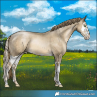 Horse Color:Smoky Black Pearl Splash 