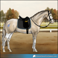 Horse Color:Smoky Black Pearl Splash