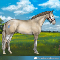 Horse Color:Smoky Black Pearl Splash 