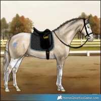 Horse Color:Smoky Black Pearl Splash