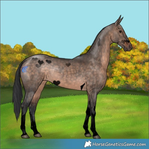 Horse Color:Void White Spotted Brown Dun Mushroom Tobiano 