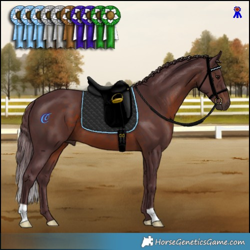 Horse Color:Chocolate Brown 