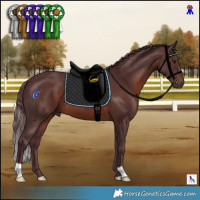 Horse Color:Chocolate Brown