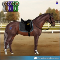 Horse Color:Chocolate Brown 