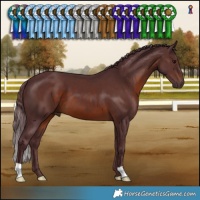 Horse Color:Chocolate Brown