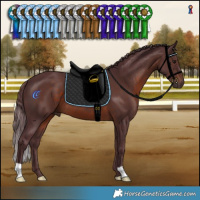Horse Color:Chocolate Brown 