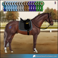 Horse Color:Chocolate Brown 